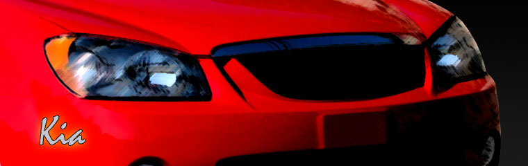 Kia Alternative Repair