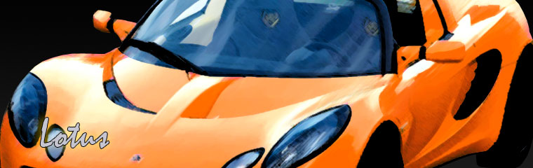 Lotus Alternative Repair